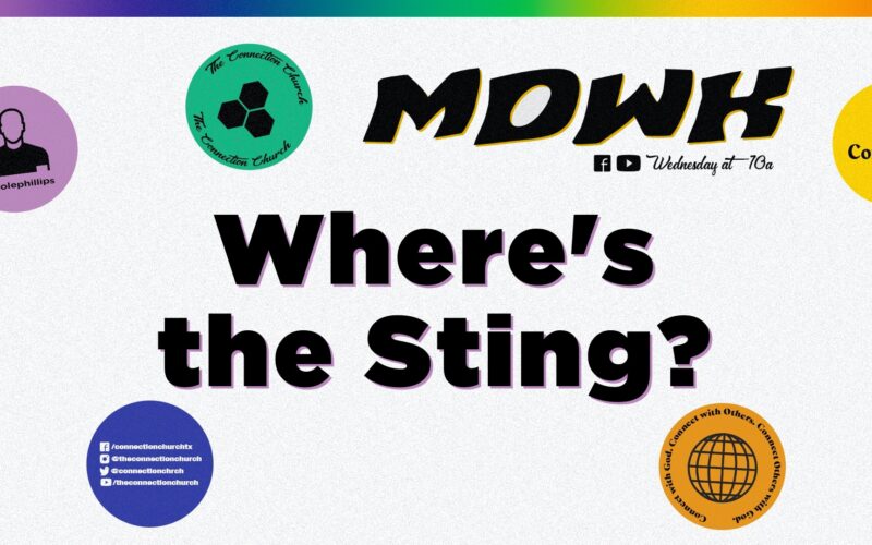 Where's the Sting?